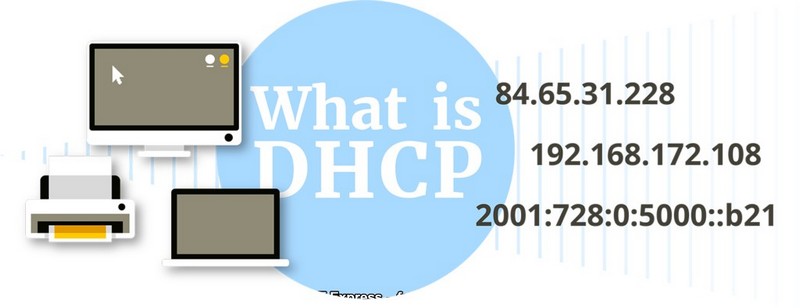 Nếu không có DHCP, rất dễ xảy ra xung đột IP giữa các thiết bị