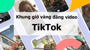 Công cụ Tải Video TikTok không có logo, watermark miễn phí FTik 1